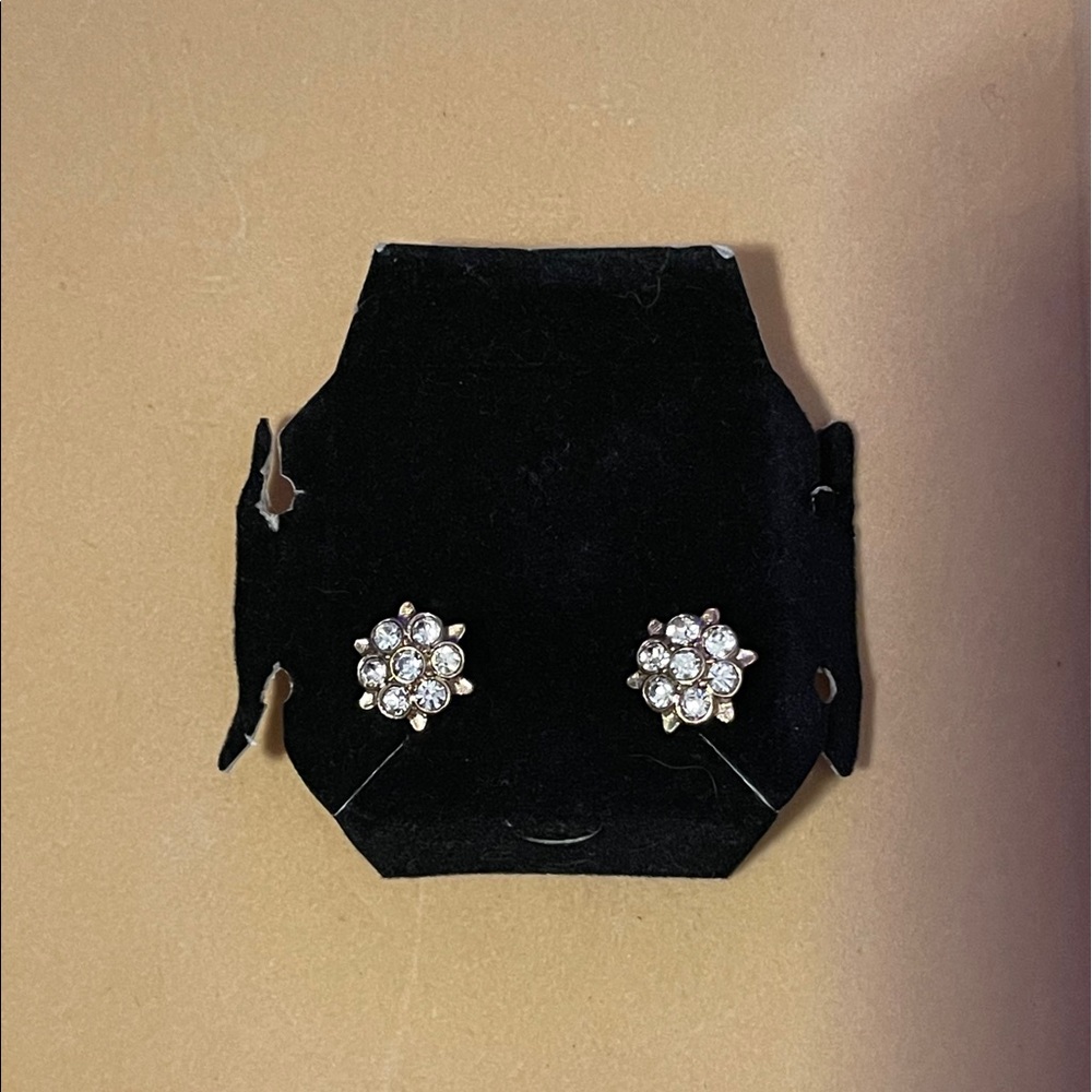 Avon earring